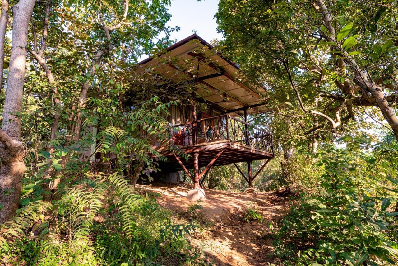 Kanha Jungle Camp Eksteriør bilde