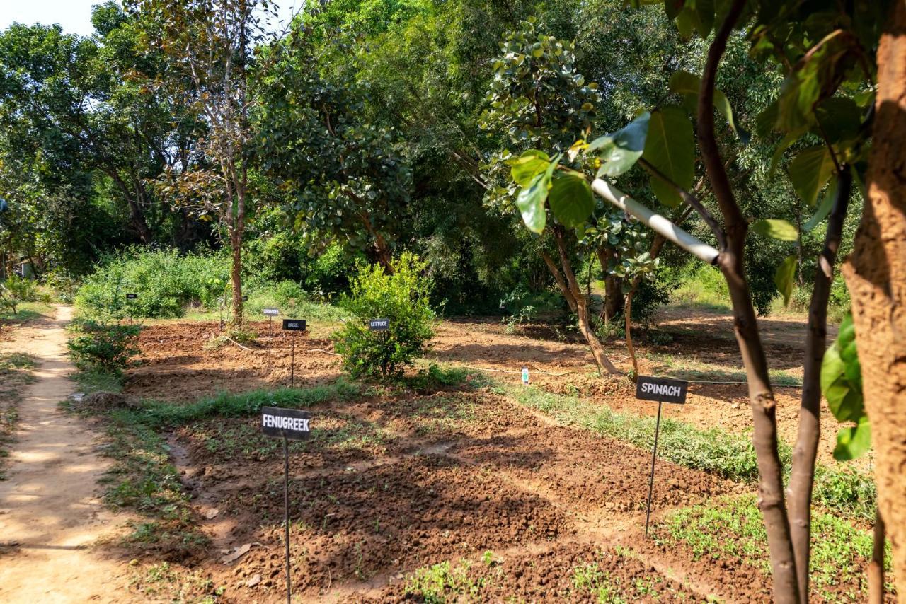 Kanha Jungle Camp Eksteriør bilde