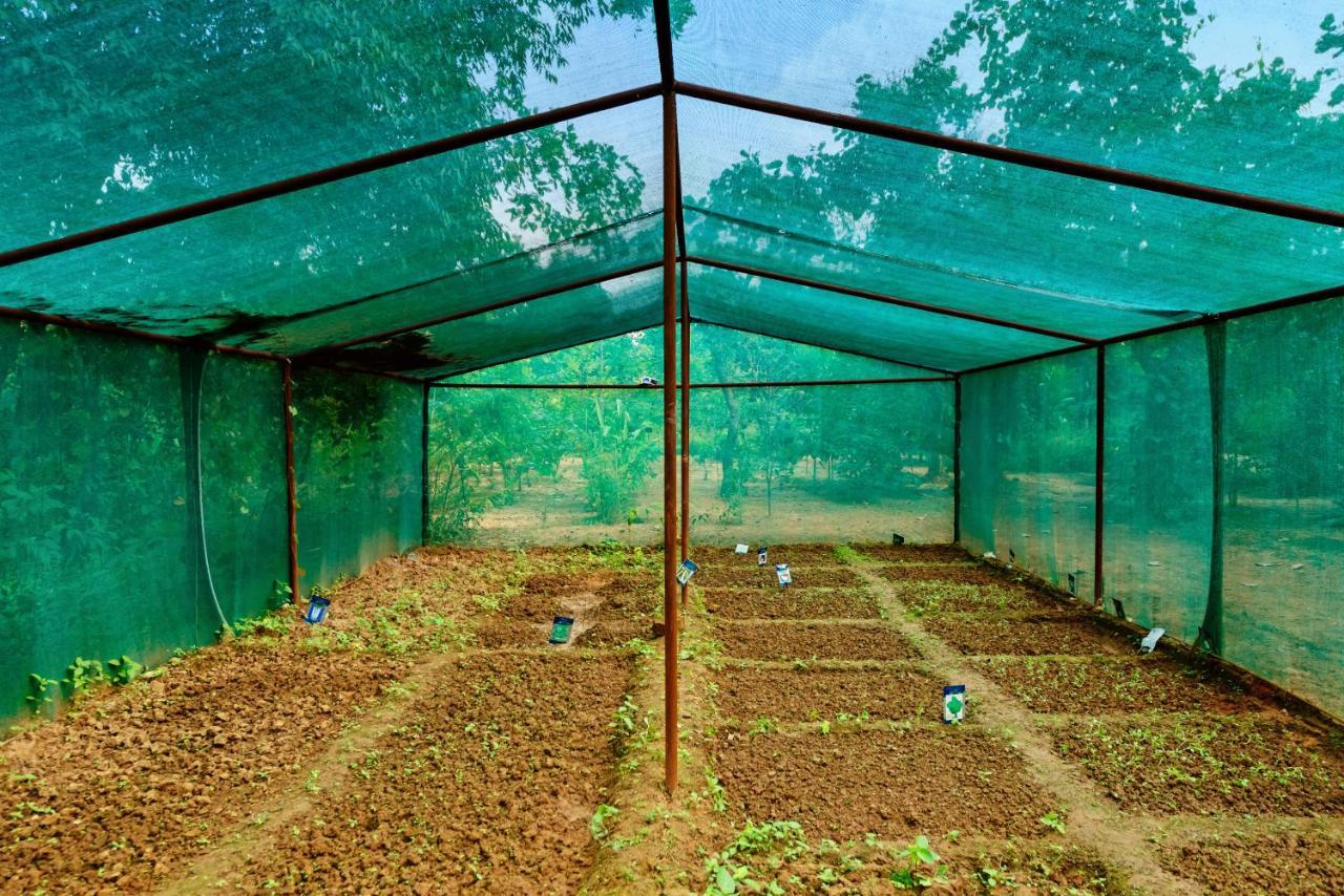 Kanha Jungle Camp Eksteriør bilde