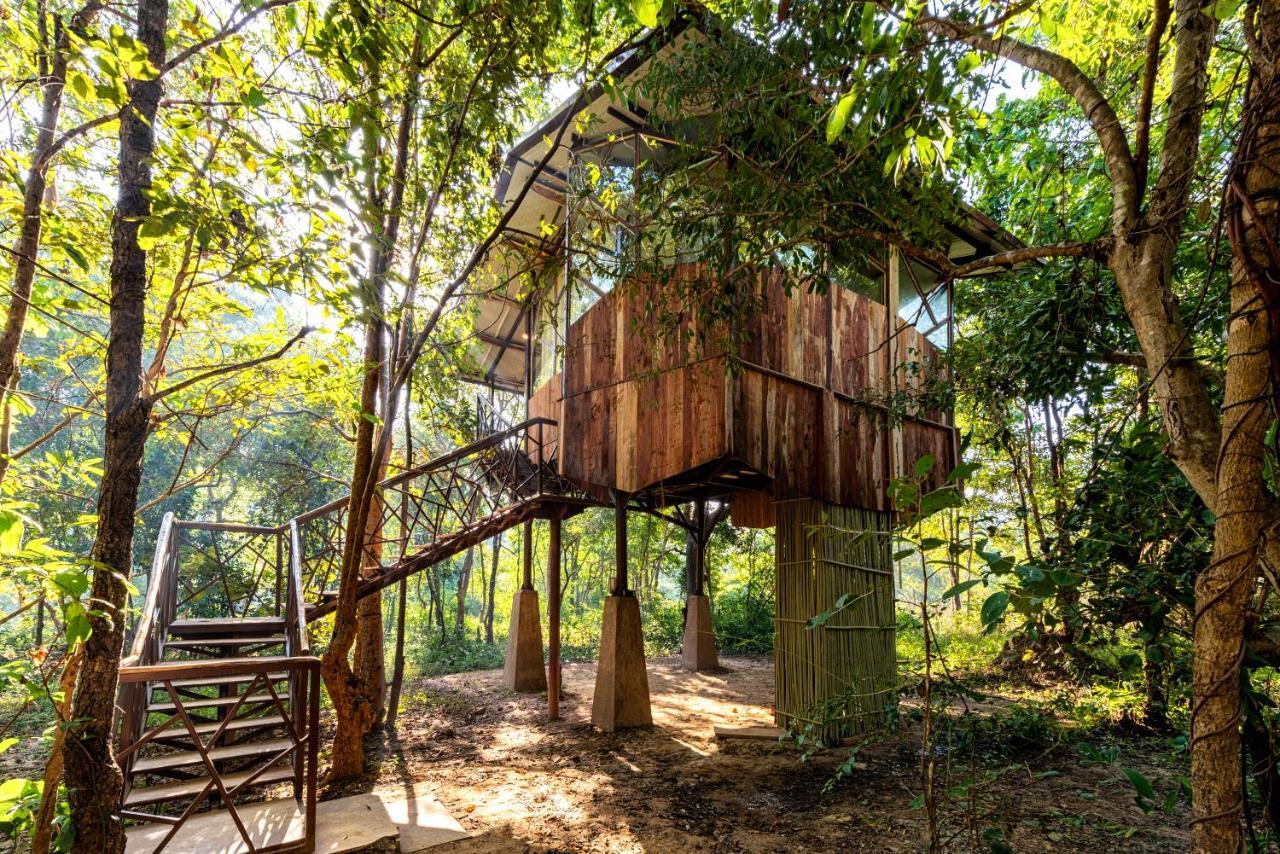 Kanha Jungle Camp Eksteriør bilde
