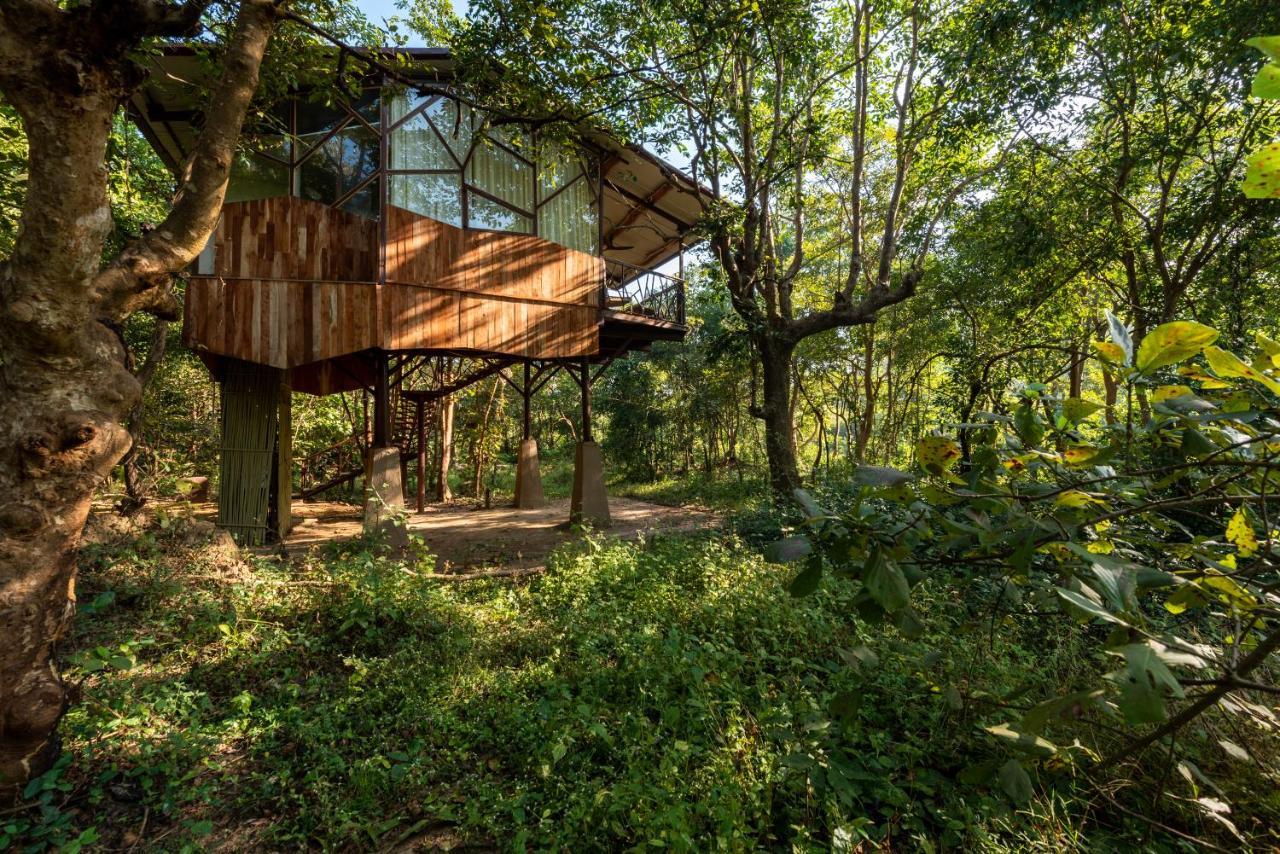 Kanha Jungle Camp Eksteriør bilde