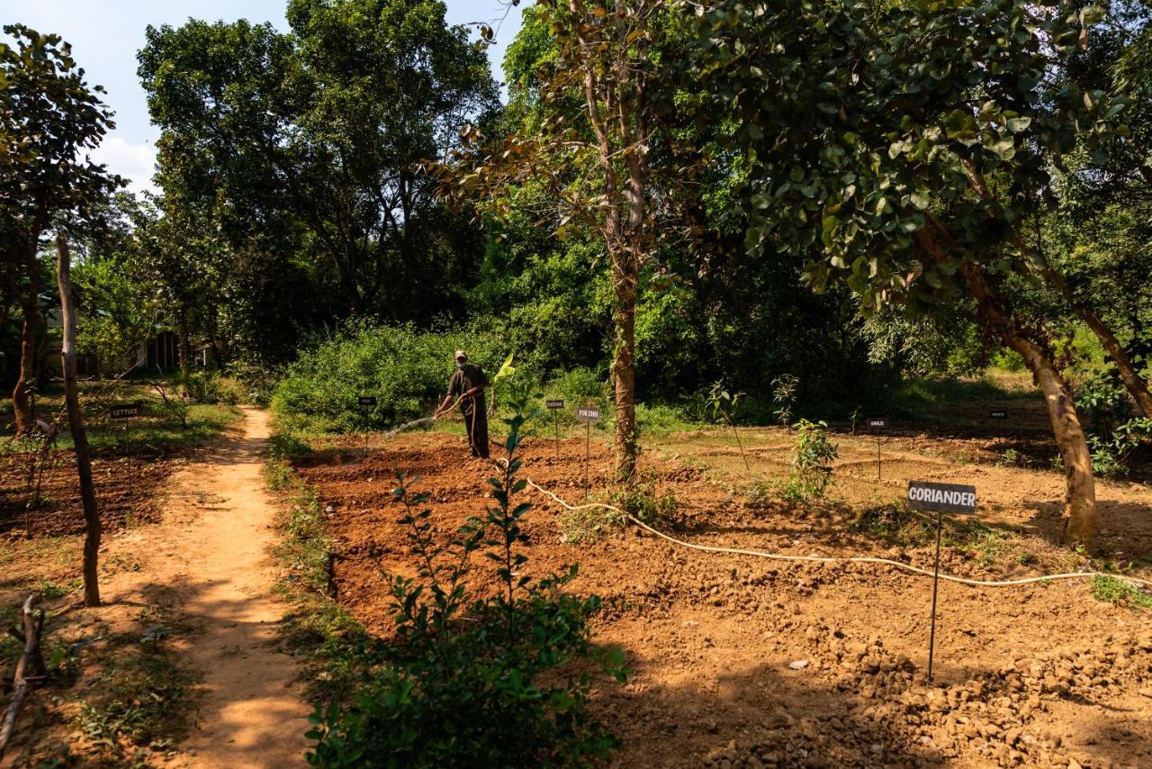 Kanha Jungle Camp Eksteriør bilde